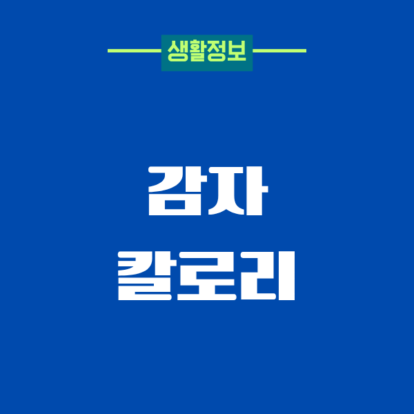 감자 칼로리 때문에 한동안 고민 많았던 이야기