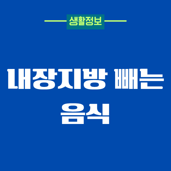 내장지방 빼는 음식, 제가 직접 먹어보고 느낀 변화
