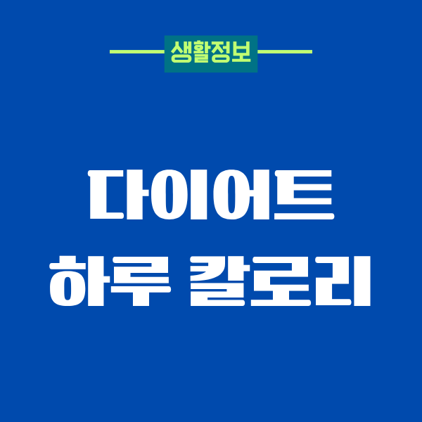 다이어트 하루 칼로리, 제가 깨달은 현실적인 기준
