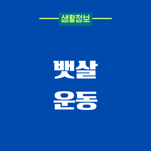 뱃살 운동, 제가 직접 해보고 느낀 변화