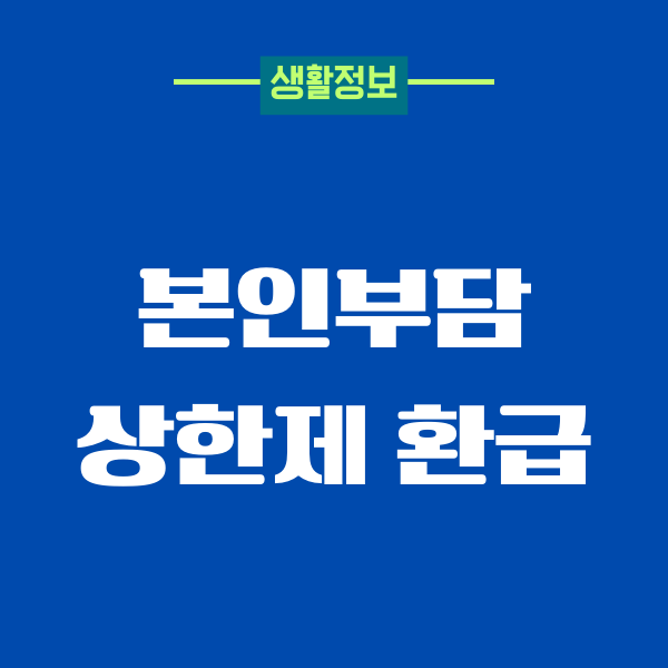 본인부담 상한제 환급 받방, 대상, 신청한도, 실비보험