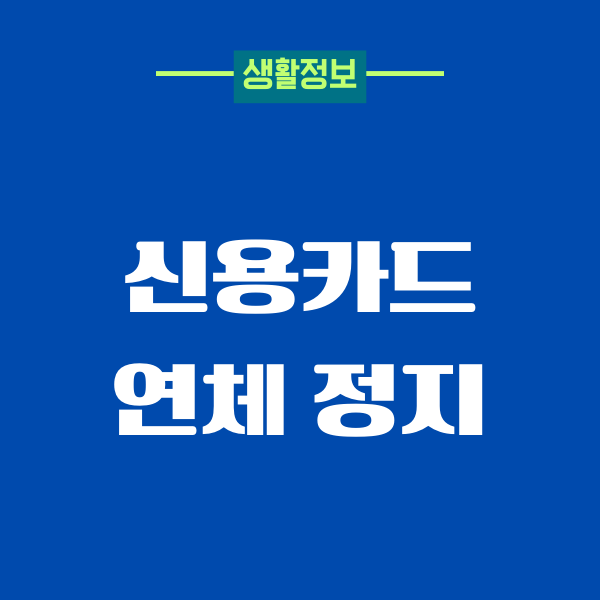 신용카드 연체 정지, 미납 정지 해결, 신용점수 영향