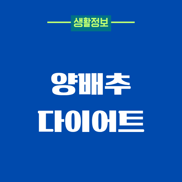 양배추 다이어트 직접 해보니, 꾸준히 하게 된 이유