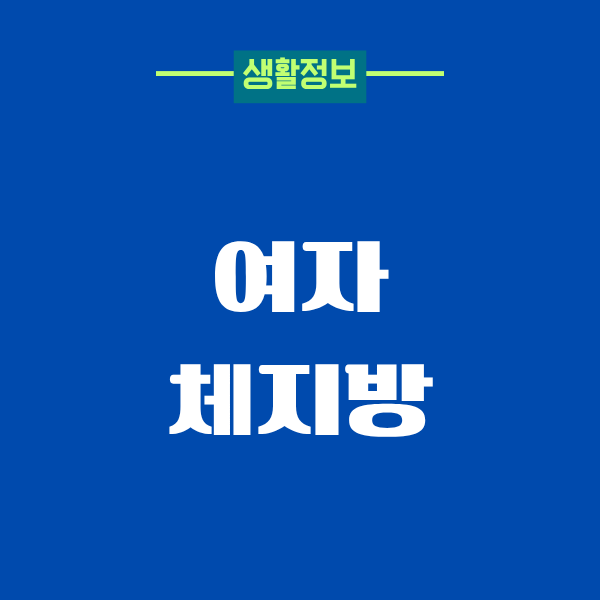 여자 체지방 줄이기, 제가 직접 겪은 변화의 과정
