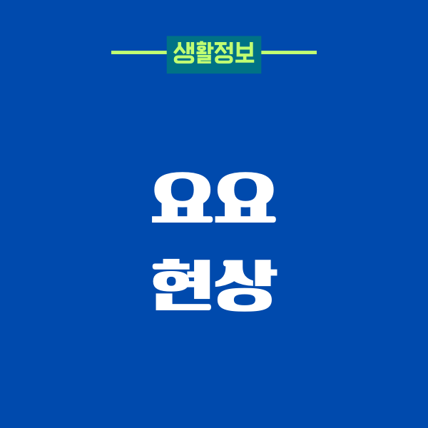 요요 현상, 내 다이어트 인생의 반복된 고비