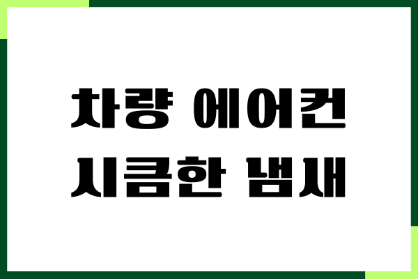 차량 에어컨 시큼한 냄새 없애는 방법, 곰팡이 제거