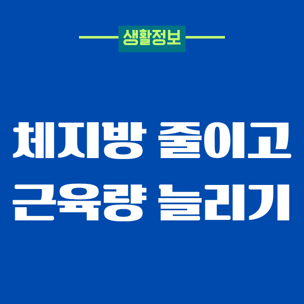 체지방 줄이고 근육량 늘리기, 40대 진짜 현실 후기