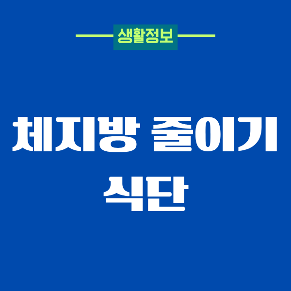 체지방 줄이기 식단, 40대 아저씨가 진짜 해본 리얼 후기
