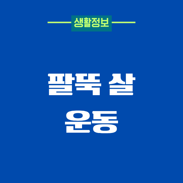 팔뚝 살 운동, 40대에 진짜 효과 본 리얼 후기