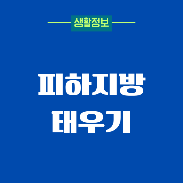 피하지방 태우기, 40대 진짜 경험담으로 알려드려요