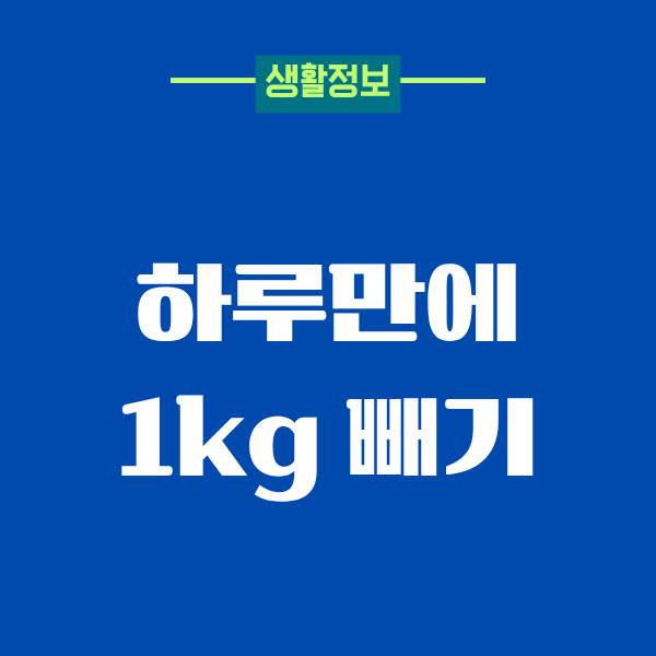 하루만에 1kg 빼기, 진짜 될까 제가 직접 해봤어요