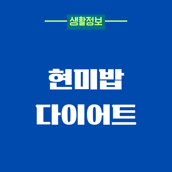 현미밥 다이어트, 꾸준히 해본 리얼 후